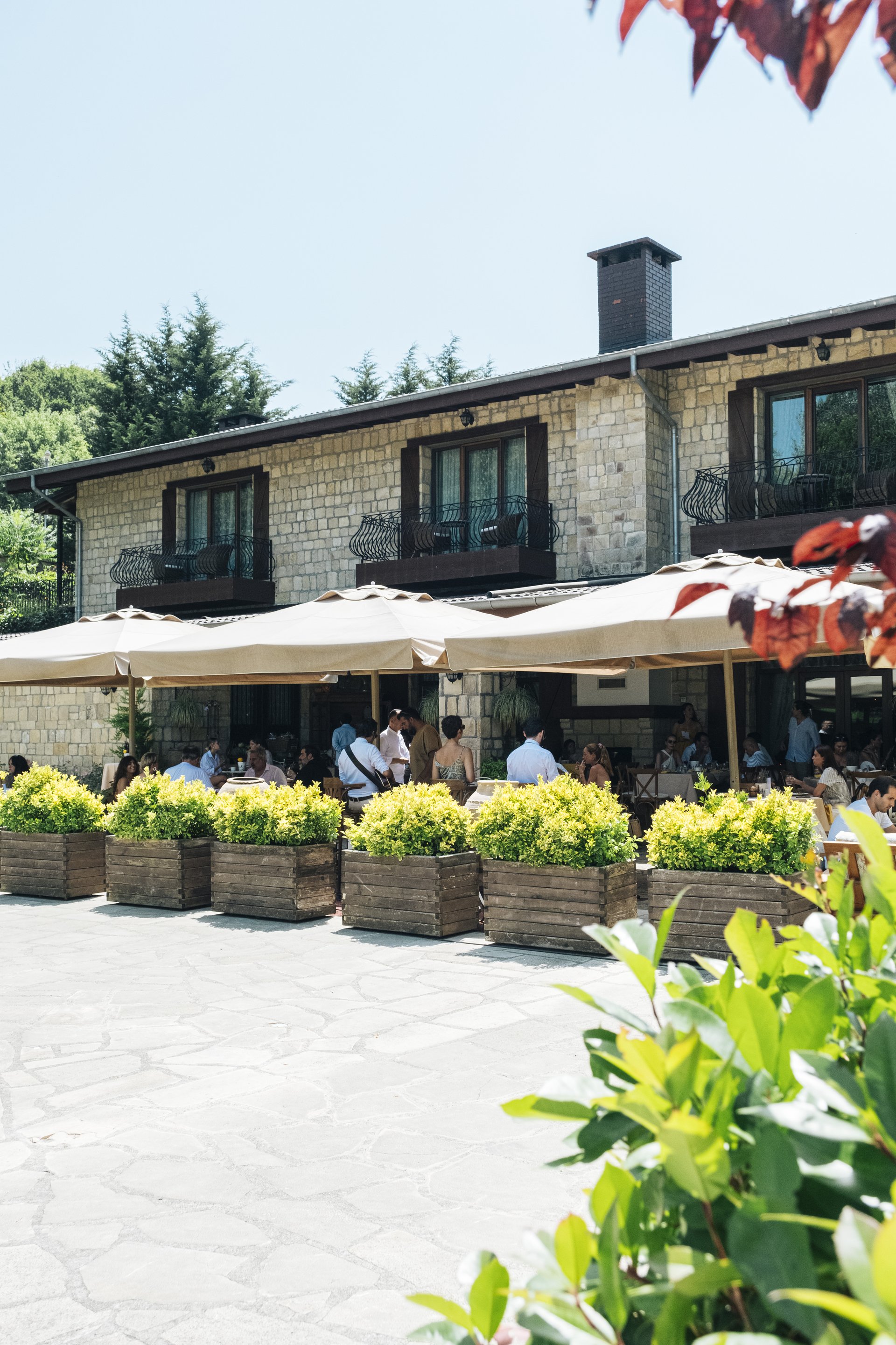 Farm to Table Brunch
